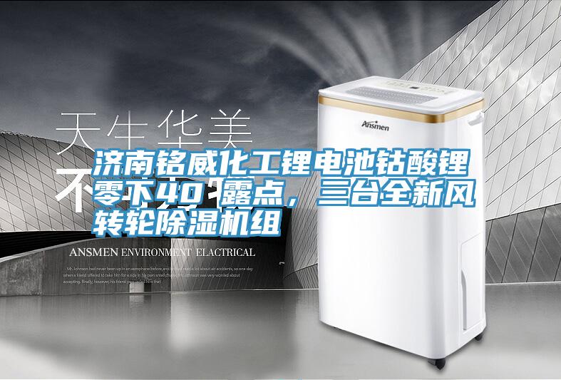 濟南銘威化工鋰電池鈷酸鋰零下40℃露點，三臺全新風轉輪除濕機組