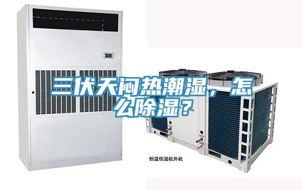 三伏天悶熱潮濕，怎么除濕？