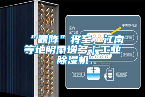“霜降”將至,江南等地陰雨增多|工業除濕機