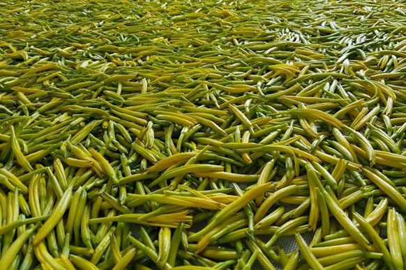 無硫金針菜烘干如何保持品相？不發黑？_除濕機廠家