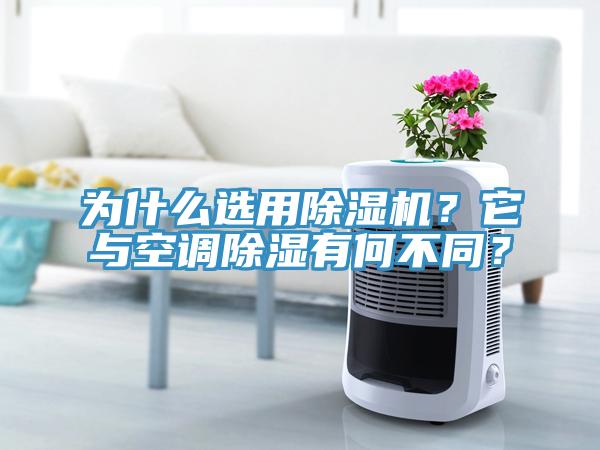 為什么選用除濕機？它與空調除濕有何不同？