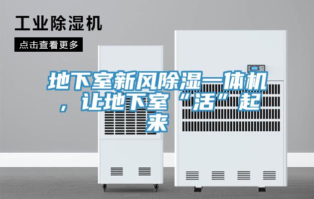 地下室新風(fēng)除濕一體機，讓地下室“活”起來