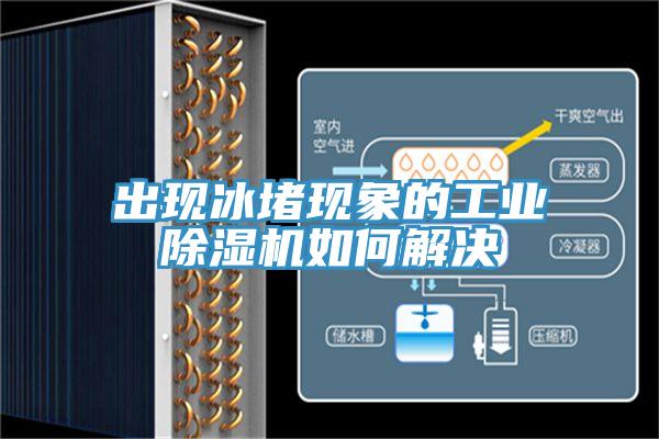 出現冰堵現象的工業(yè)除濕機如何解決