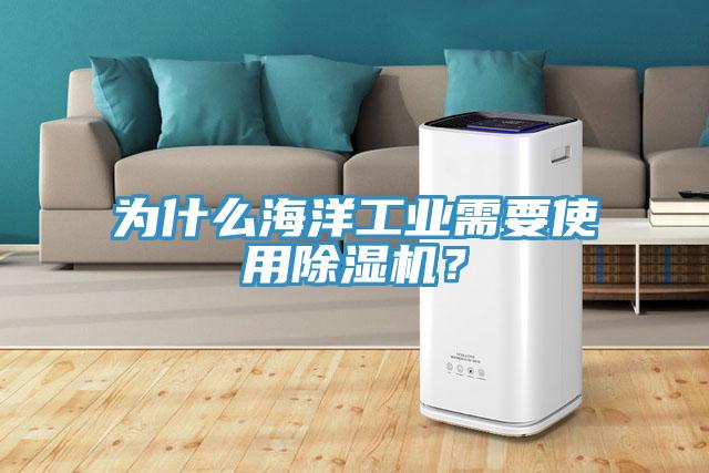 為什么海洋工業需要使用除濕機?