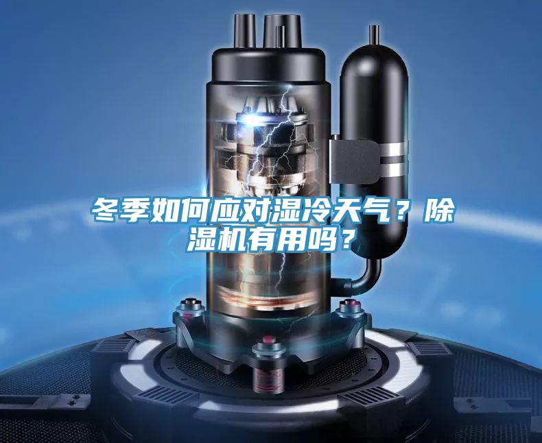 冬季如何應對濕冷天氣？除濕機有用嗎？