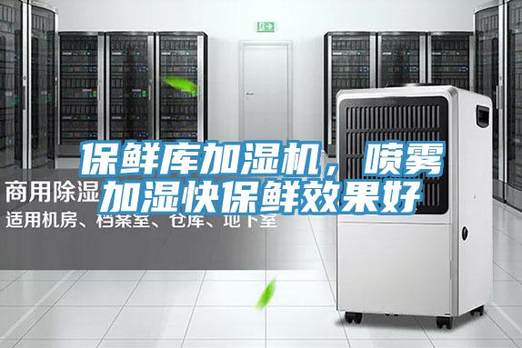 保鮮庫(kù)加濕機(jī)，噴霧加濕快保鮮效果好