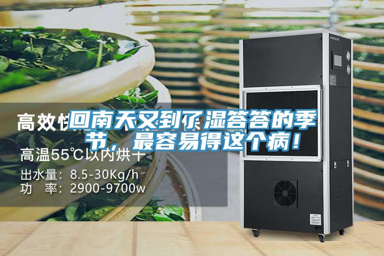 回南天又到了濕答答的季節，最容易得這個病！