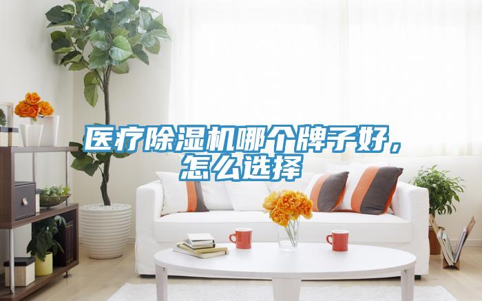 醫(yī)療除濕機哪個牌子好，怎么選擇