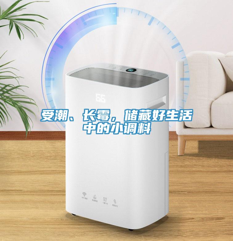 受潮、長霉，儲藏好生活中的小調(diào)料