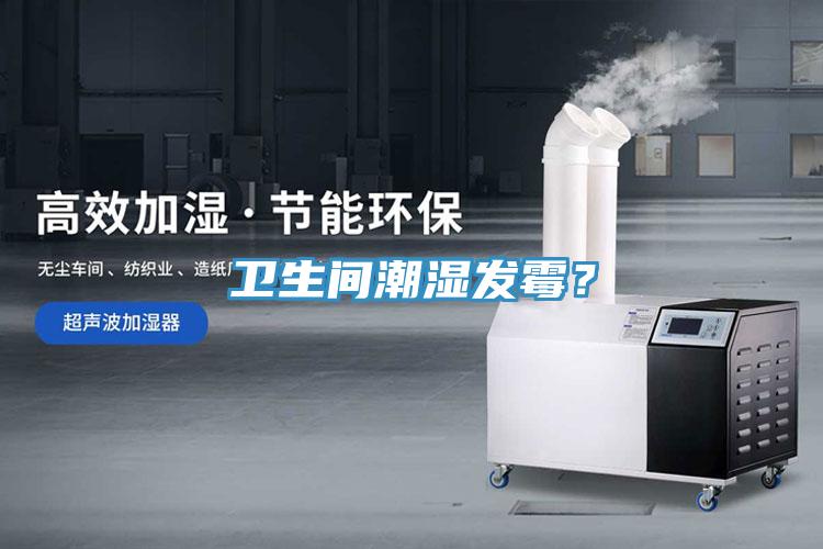 衛生間潮濕發霉？