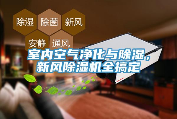室內(nèi)空氣凈化與除濕，新風(fēng)除濕機全搞定