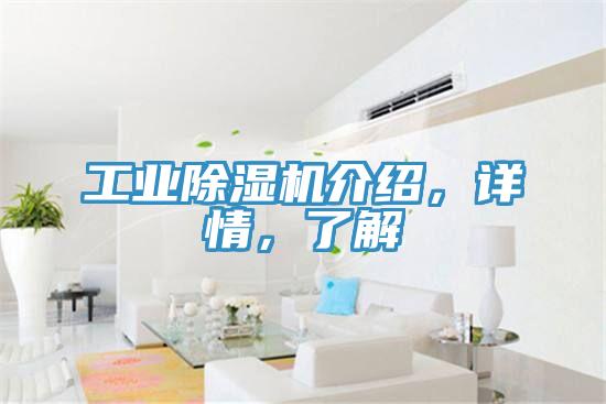 工業除濕機介紹，詳情，了解
