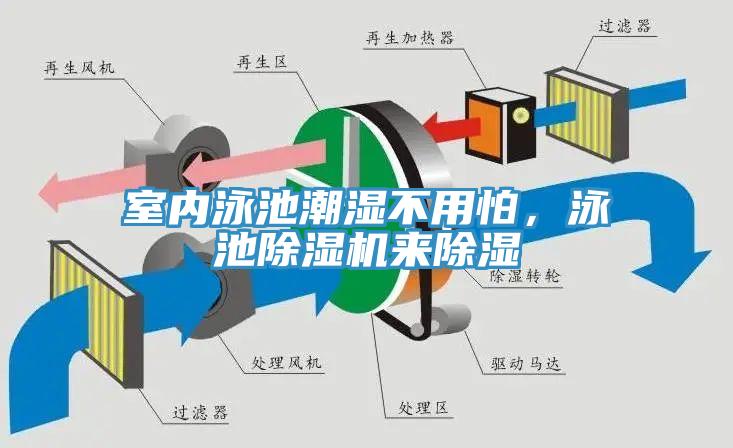 室內泳池潮濕不用怕，泳池除濕機來除濕