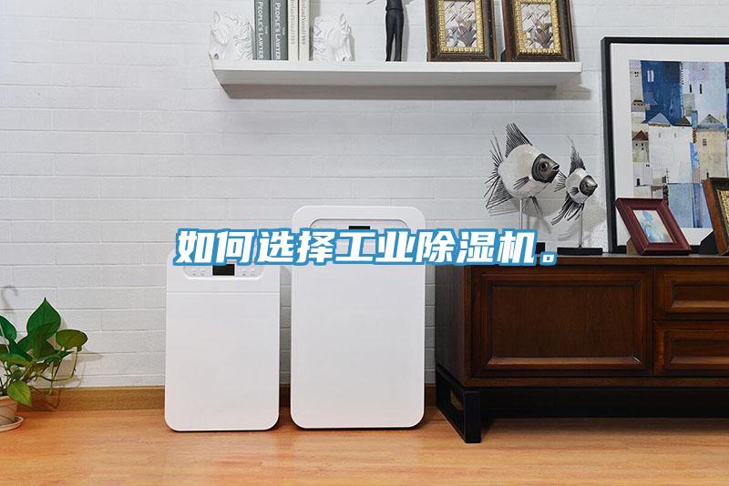 如何選擇工業除濕機。