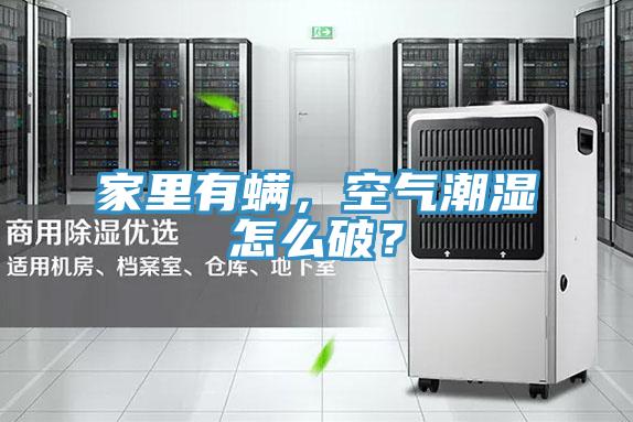 家里有螨，空氣潮濕怎么破？