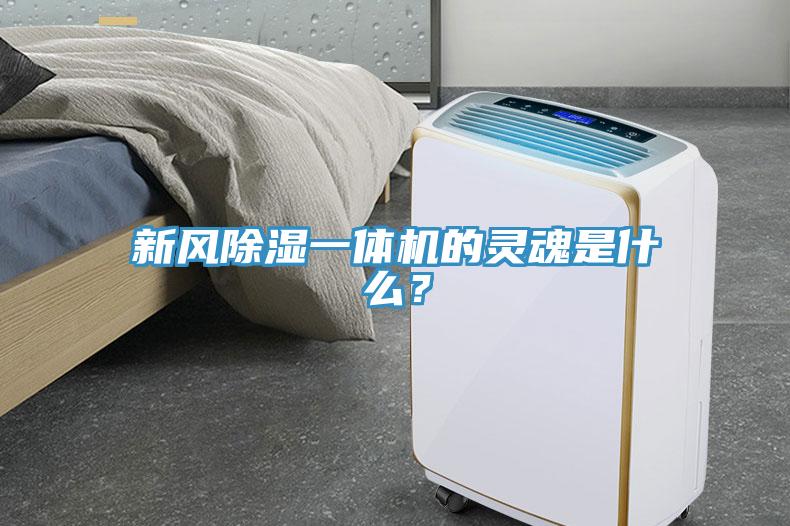 新風(fēng)除濕一體機的靈魂是什么？