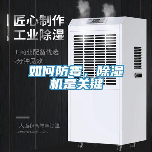 如何防霉，除濕機是關鍵