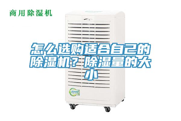 怎么選購適合自己的除濕機？除濕量的大小
