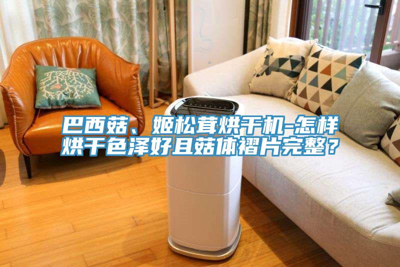 巴西菇、姬松茸烘干機(jī)-怎樣烘干色澤好且菇體褶片完整？