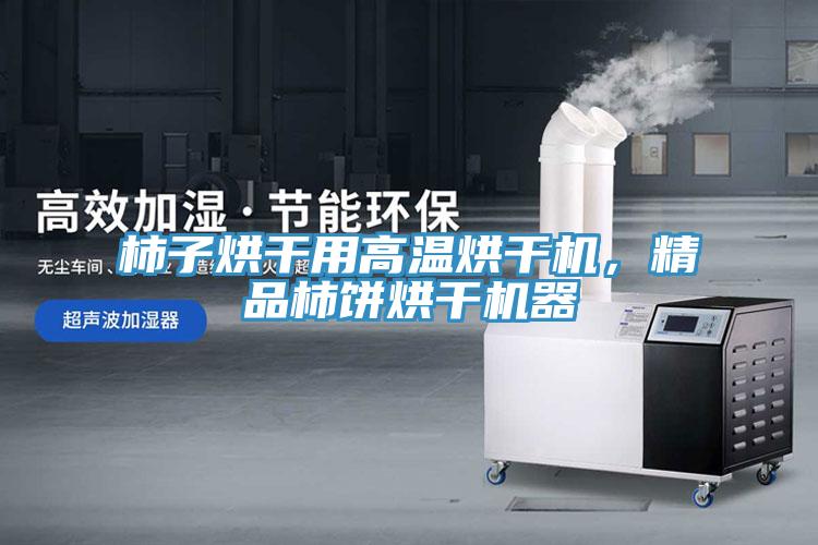 柿子烘干用高溫烘干機，精品柿餅烘干機器