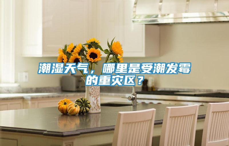 潮濕天氣,哪里是受潮發霉的重災區?