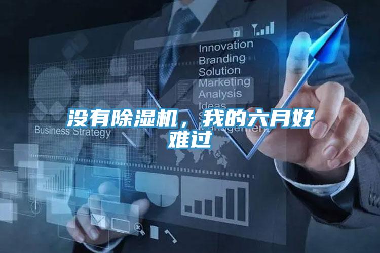 沒有除濕機，我的六月好難過