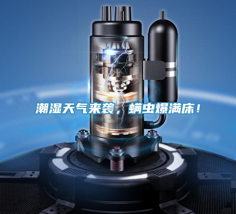 潮濕天氣來(lái)襲，螨蟲爆滿床！