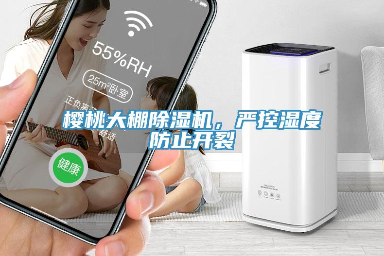 櫻桃大棚除濕機，嚴控濕度防止開裂