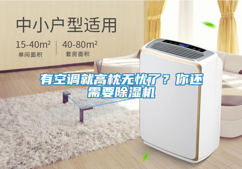 有空調(diào)就高枕無憂了？你還需要除濕機(jī)