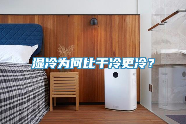 濕冷為何比干冷更冷？