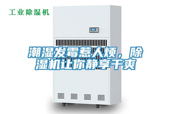 潮濕發霉惹人煩，除濕機讓你靜享干爽