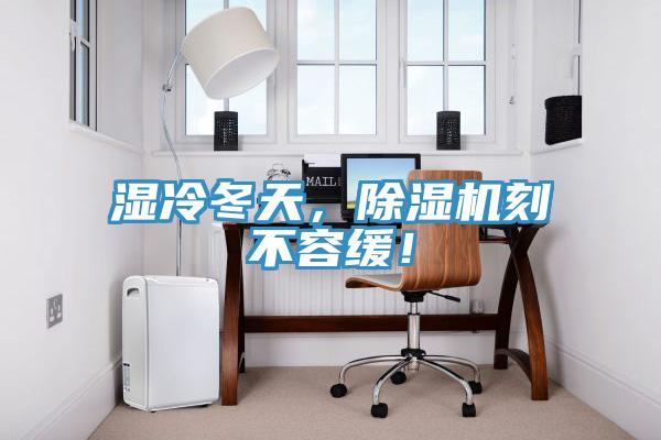 濕冷冬天，除濕機刻不容緩！