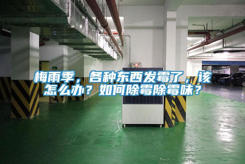 梅雨季，各種東西發(fā)霉了，該怎么辦？如何除霉除霉味？