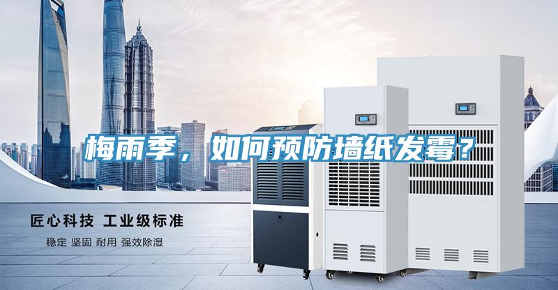 梅雨季，如何預防墻紙發(fā)霉？