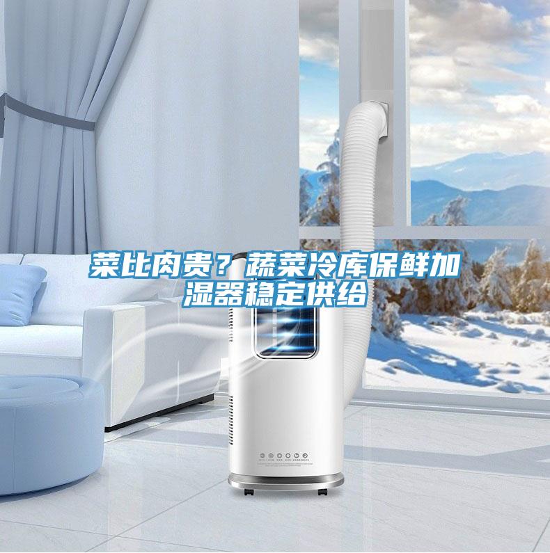 菜比肉貴？蔬菜冷庫(kù)保鮮加濕器穩(wěn)定供給