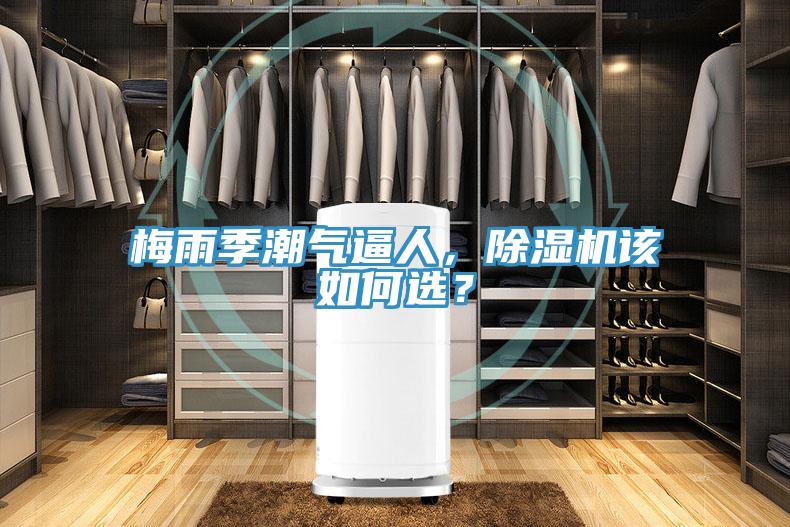 梅雨季潮氣逼人，除濕機該如何選？