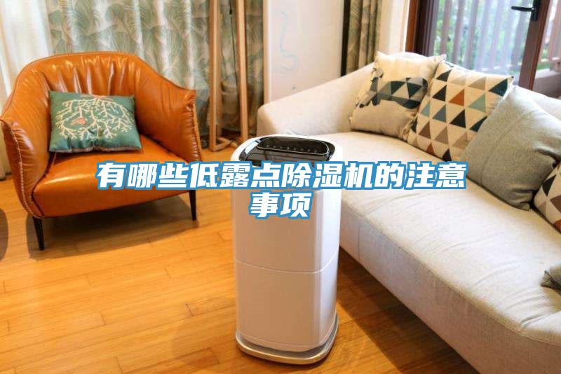 有哪些低露點(diǎn)除濕機(jī)的注意事項