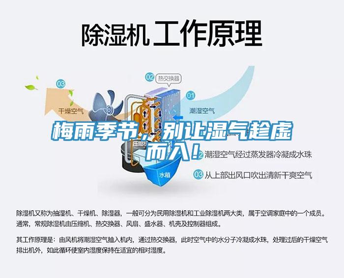 梅雨季節(jié)，別讓濕氣趁虛而入！