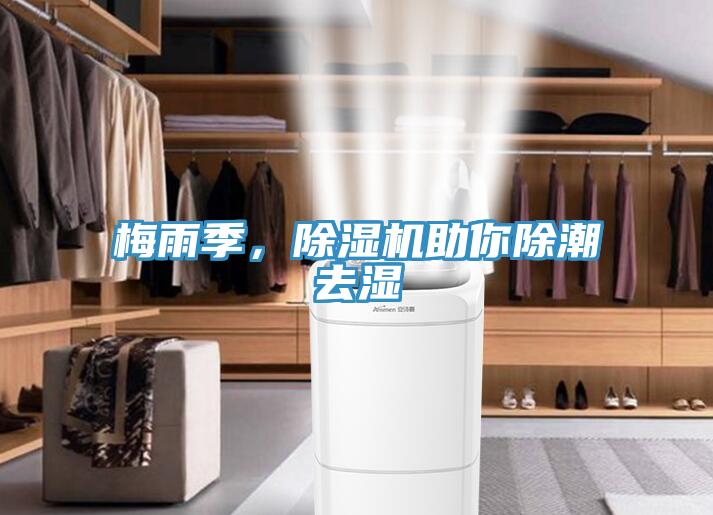 梅雨季，除濕機助你除潮去濕