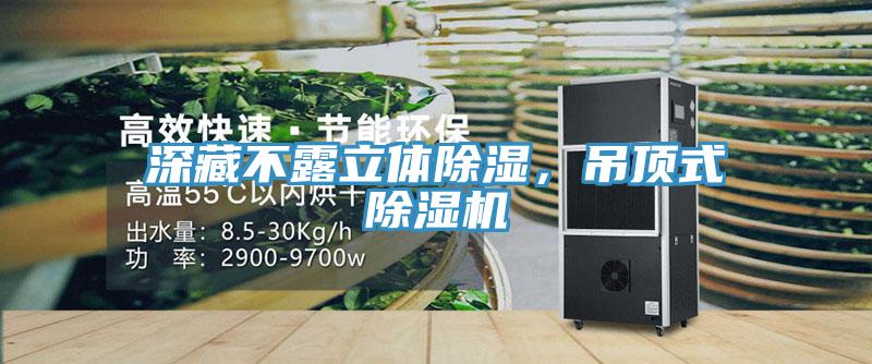 深藏不露立體除濕，吊頂式除濕機(jī)