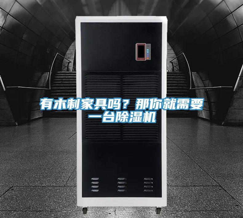 有木制家具嗎？那你就需要一臺(tái)除濕機(jī)