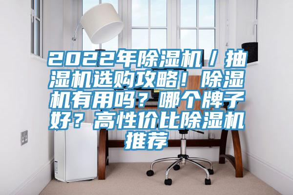 2022年除濕機(jī)／抽濕機(jī)選購(gòu)攻略！除濕機(jī)有用嗎？哪個(gè)牌子好？高性價(jià)比除濕機(jī)推薦
