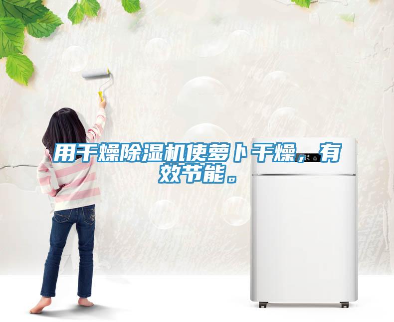 用干燥除濕機使蘿卜干燥，有效節(jié)能。