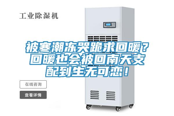 被寒潮凍哭跪求回暖？回暖也會被回南天支配到生無可戀！