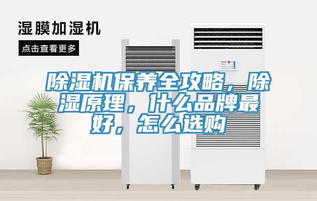 除濕機保養(yǎng)全攻略，除濕原理，什么品牌最好，怎么選購