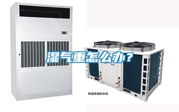 濕氣重怎么辦？