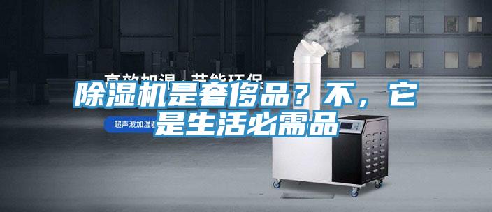 除濕機是奢侈品？不，它是生活必需品