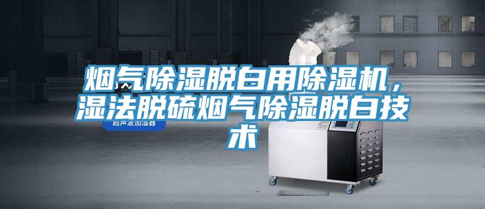 煙氣除濕脫白用除濕機(jī)，濕法脫硫煙氣除濕脫白技術(shù)