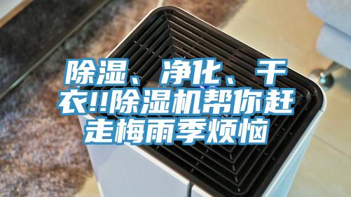 除濕、凈化、干衣!!除濕機幫你趕走梅雨季煩惱