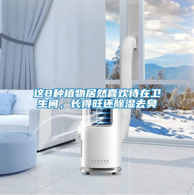 這8種植物居然喜歡待在衛(wèi)生間，長得旺還除濕去臭